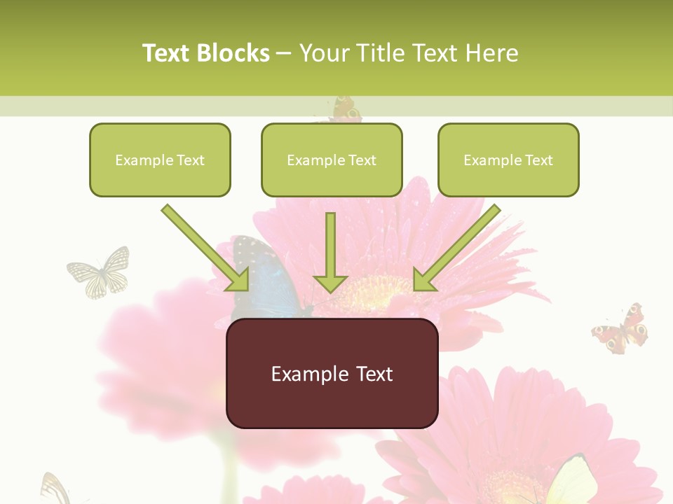 Gerber Flower Garden PowerPoint Template