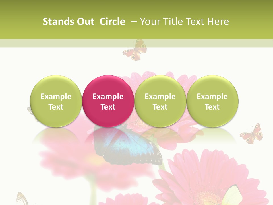 Gerber Flower Garden PowerPoint Template