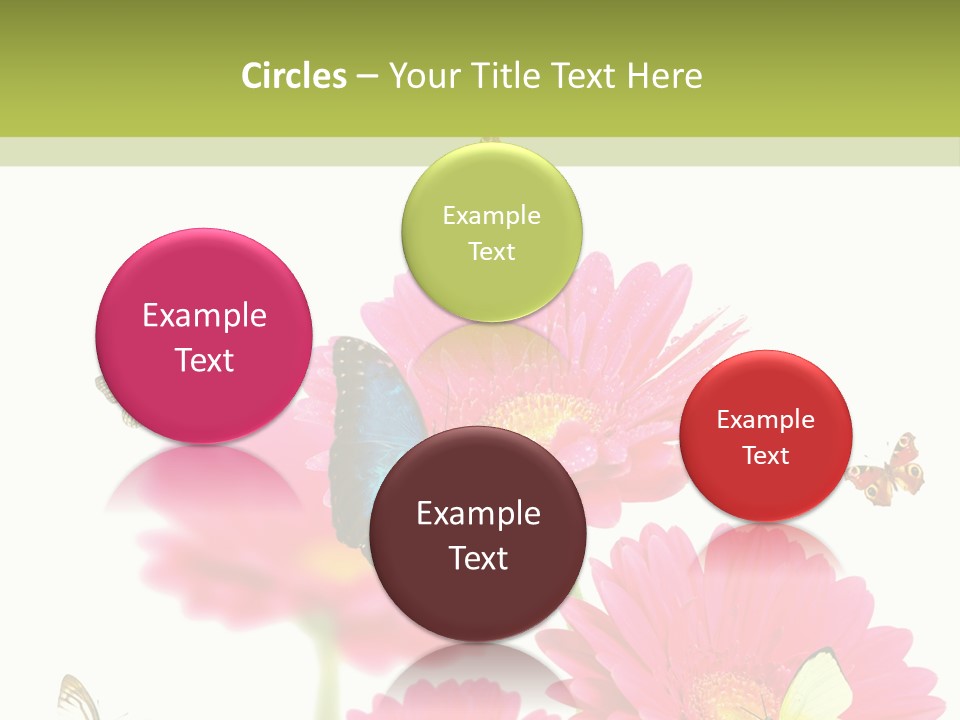 Gerber Flower Garden PowerPoint Template
