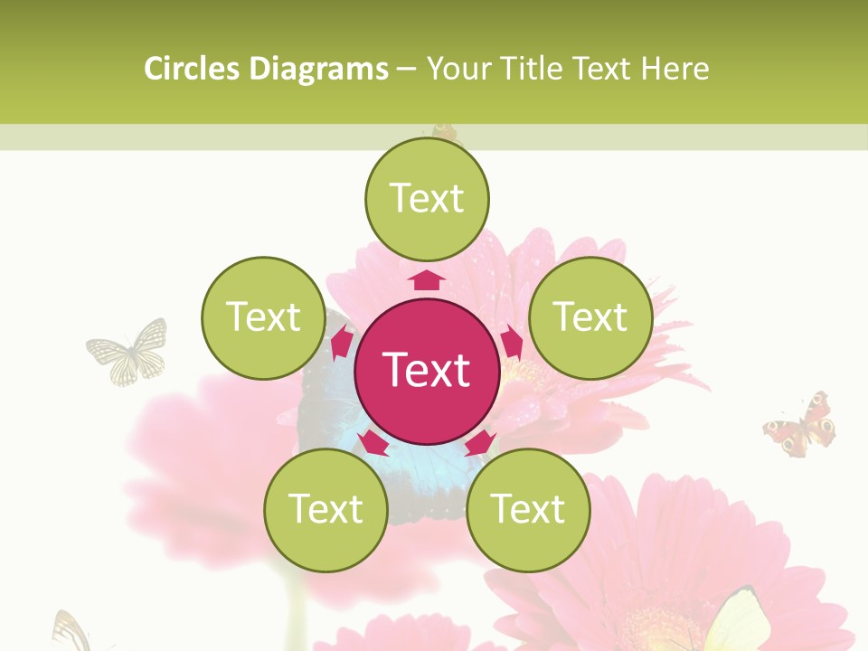 Gerber Flower Garden PowerPoint Template