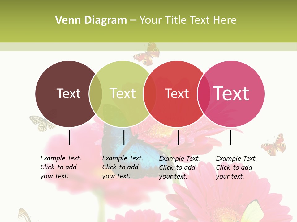 Gerber Flower Garden PowerPoint Template