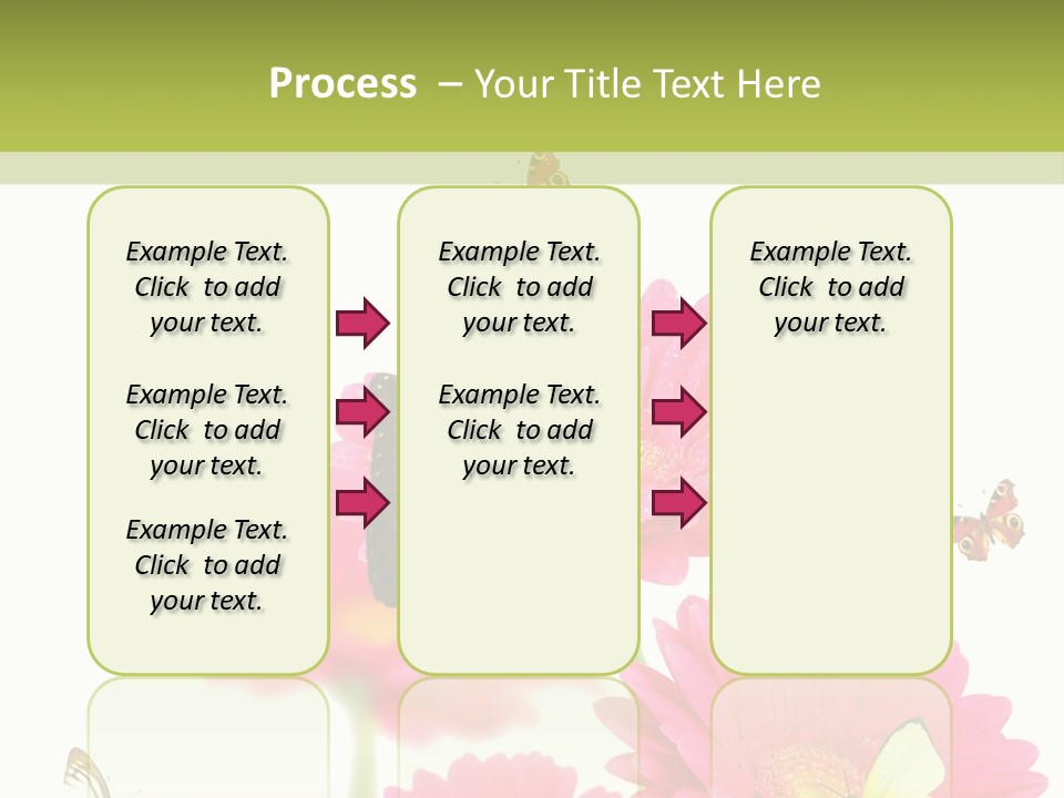 Gerber Flower Garden PowerPoint Template
