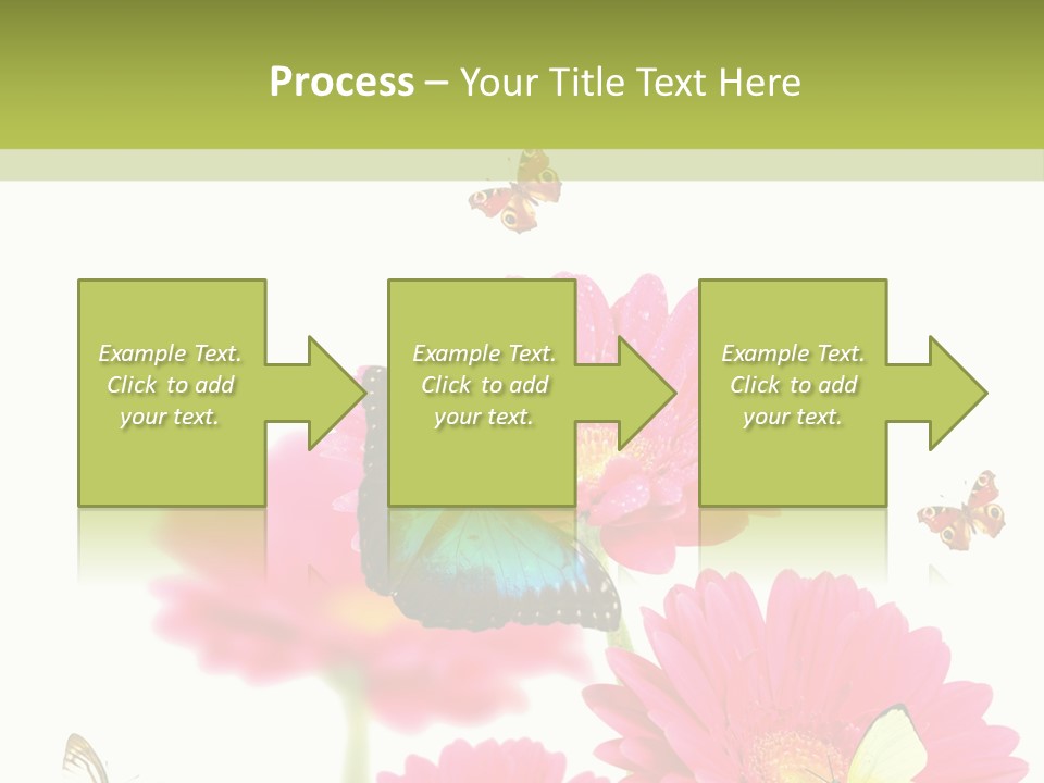 Gerber Flower Garden PowerPoint Template