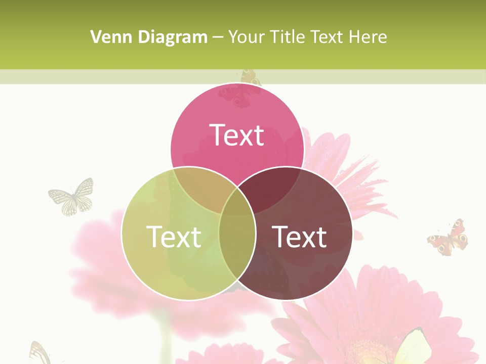 Gerber Flower Garden PowerPoint Template