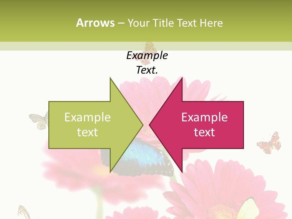Gerber Flower Garden PowerPoint Template