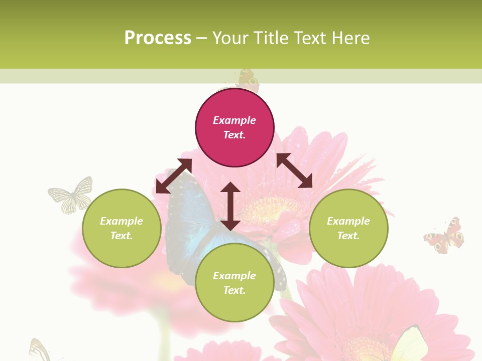 Gerber Flower Garden PowerPoint Template