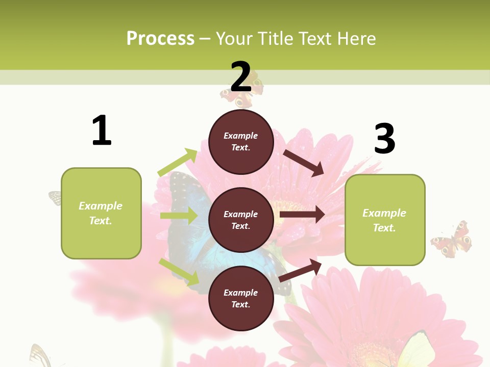 Gerber Flower Garden PowerPoint Template
