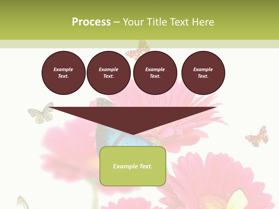Gerber Flower Garden PowerPoint Template