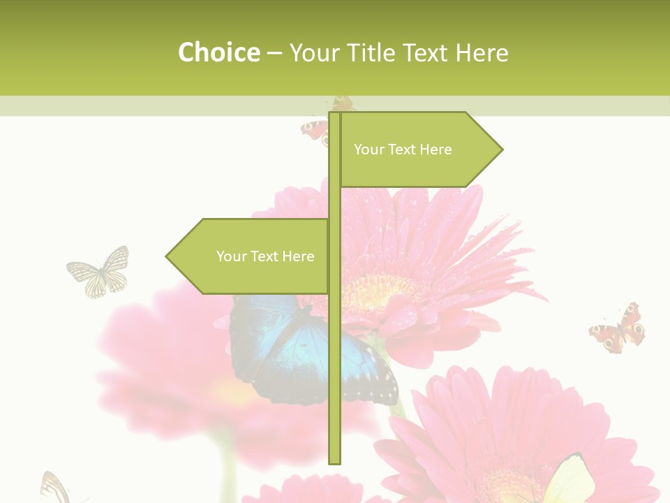 Gerber Flower Garden PowerPoint Template