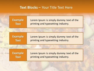 Chapati Satay Chutney PowerPoint Template