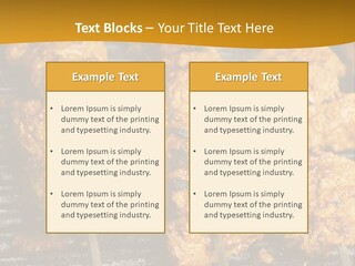 Kebabs Skewers Kebob PowerPoint Template