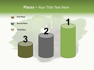 Leaf Ribes Nigrum On White PowerPoint Template