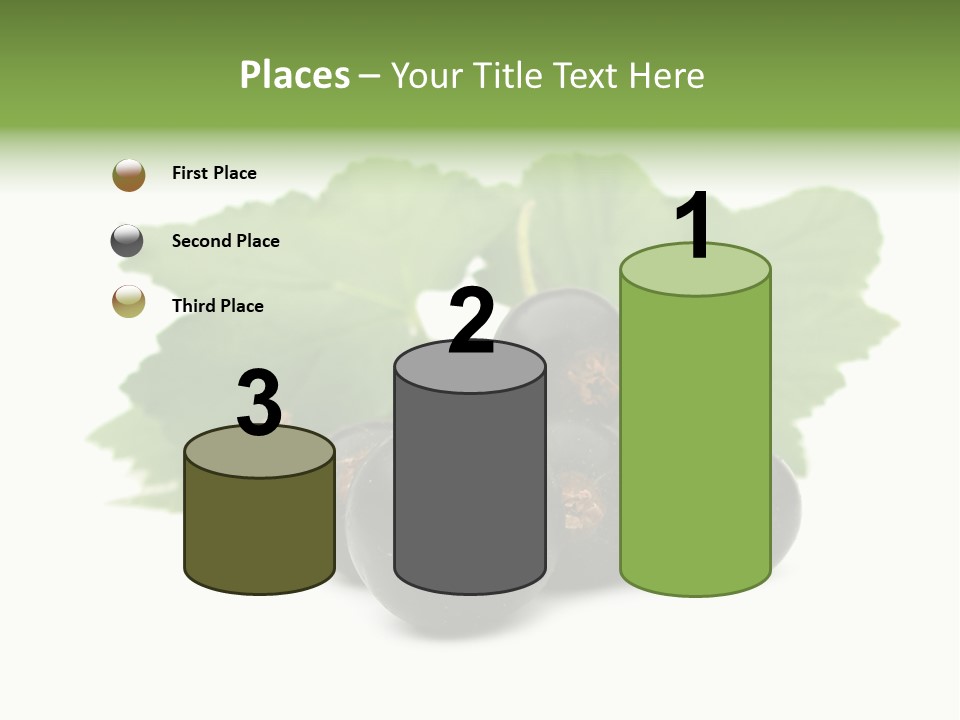 Leaf Ribes Nigrum On White PowerPoint Template