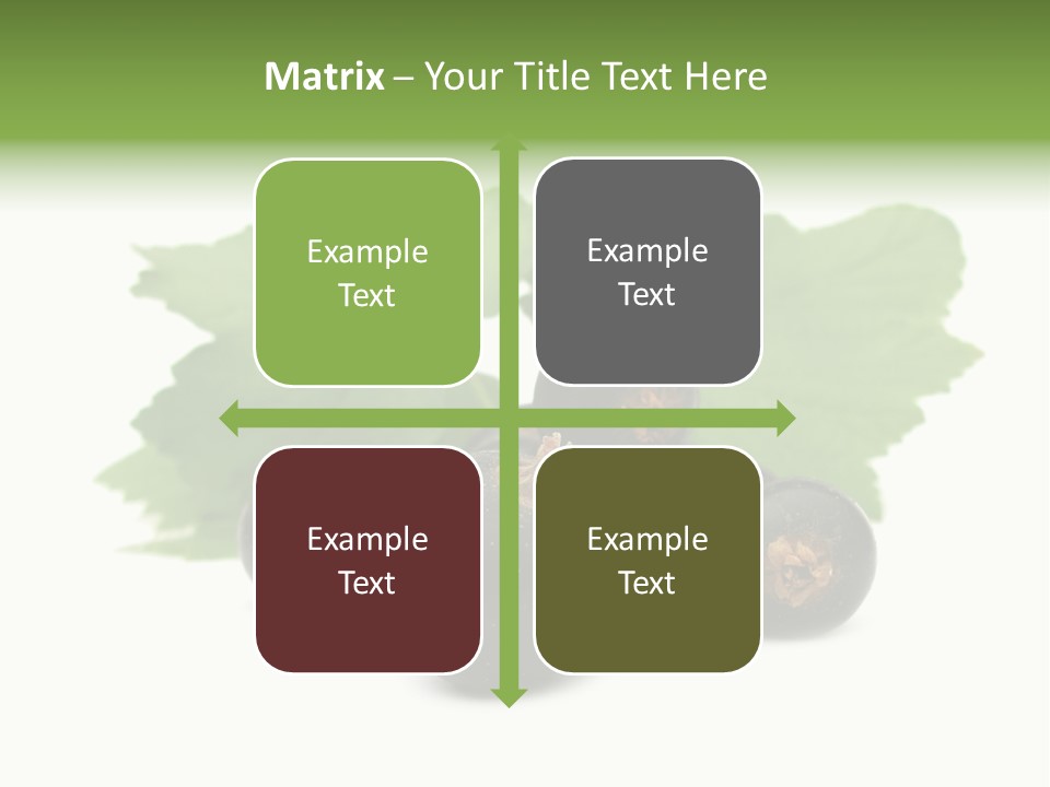 Leaf Ribes Nigrum On White PowerPoint Template