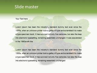 Leaf Ribes Nigrum On White PowerPoint Template