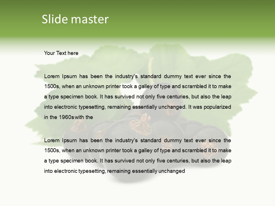 Leaf Ribes Nigrum On White PowerPoint Template