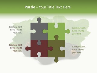 Leaf Ribes Nigrum On White PowerPoint Template