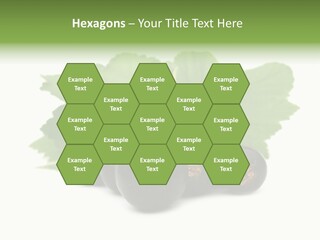 Leaf Ribes Nigrum On White PowerPoint Template