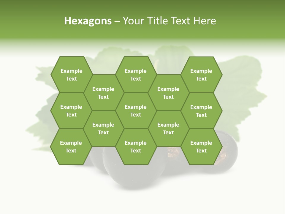 Leaf Ribes Nigrum On White PowerPoint Template