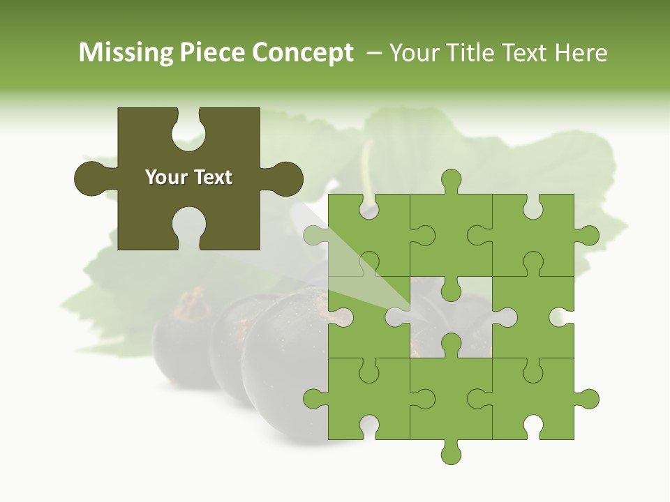 Leaf Ribes Nigrum On White PowerPoint Template