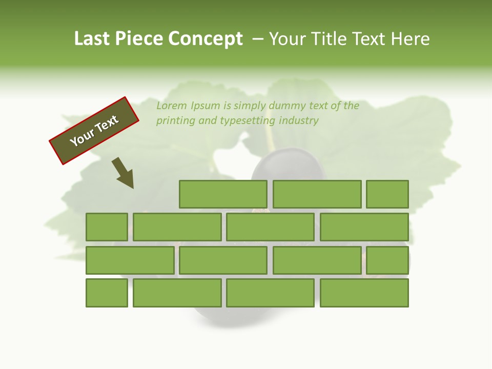 Leaf Ribes Nigrum On White PowerPoint Template