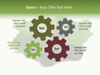 Leaf Ribes Nigrum On White PowerPoint Template