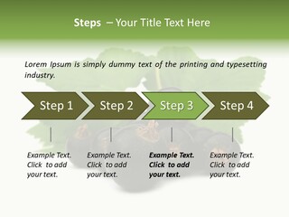 Leaf Ribes Nigrum On White PowerPoint Template