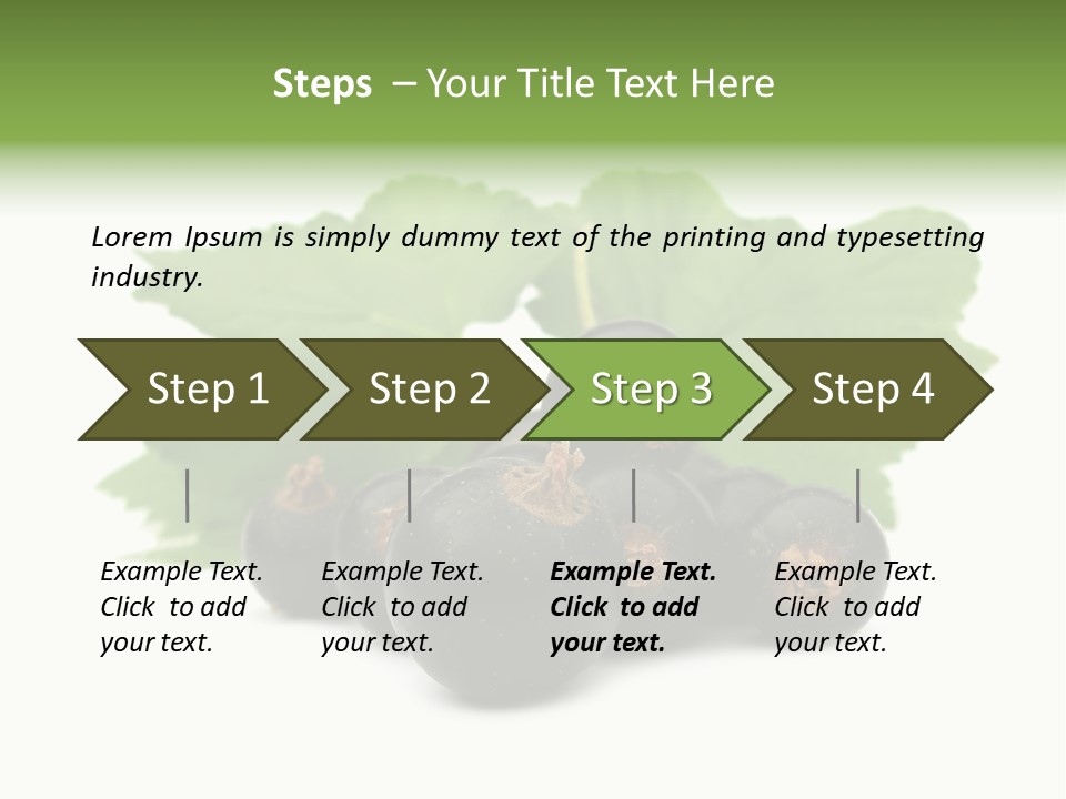 Leaf Ribes Nigrum On White PowerPoint Template