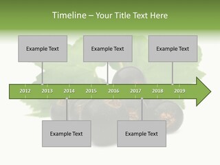 Leaf Ribes Nigrum On White PowerPoint Template