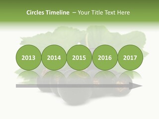 Leaf Ribes Nigrum On White PowerPoint Template
