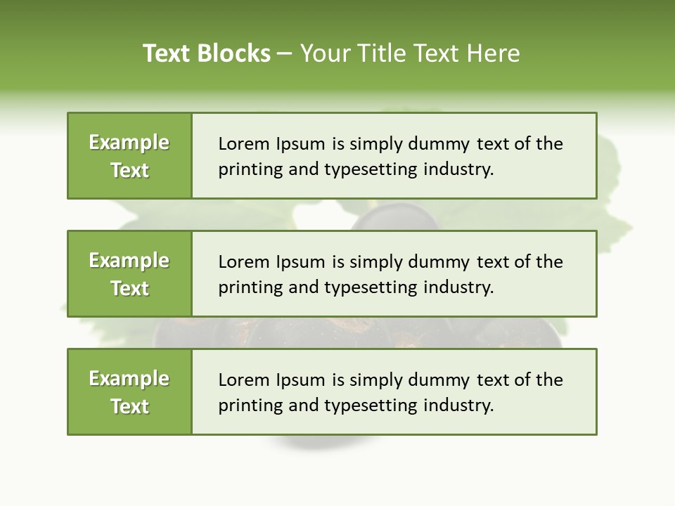Leaf Ribes Nigrum On White PowerPoint Template