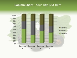 Leaf Ribes Nigrum On White PowerPoint Template