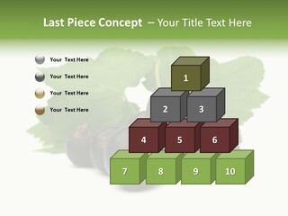 Leaf Ribes Nigrum On White PowerPoint Template
