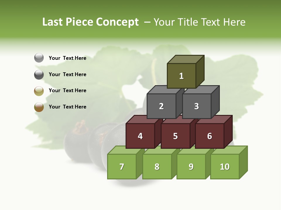 Leaf Ribes Nigrum On White PowerPoint Template