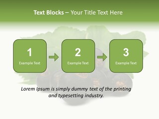 Leaf Ribes Nigrum On White PowerPoint Template