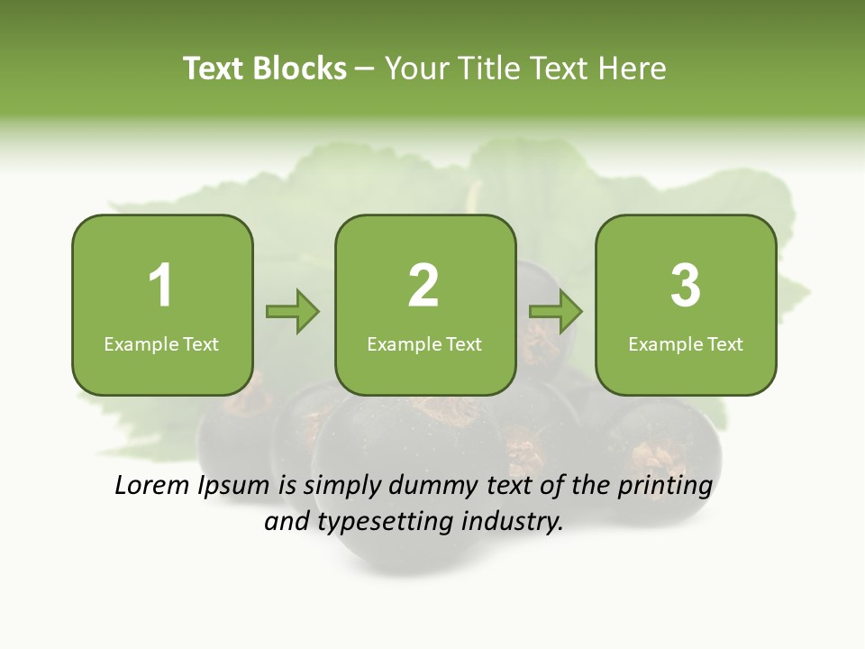 Leaf Ribes Nigrum On White PowerPoint Template