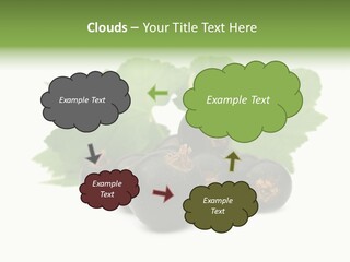 Leaf Ribes Nigrum On White PowerPoint Template
