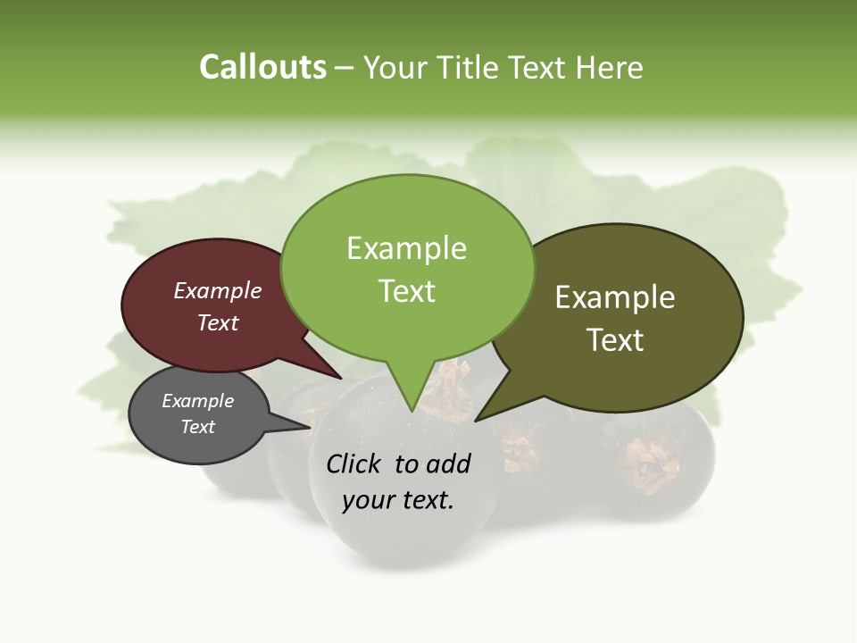 Leaf Ribes Nigrum On White PowerPoint Template