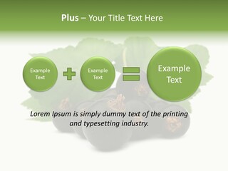 Leaf Ribes Nigrum On White PowerPoint Template