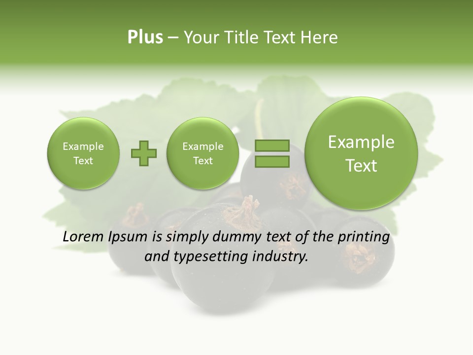 Leaf Ribes Nigrum On White PowerPoint Template