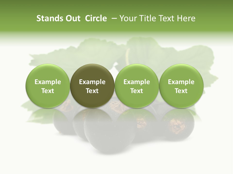 Leaf Ribes Nigrum On White PowerPoint Template
