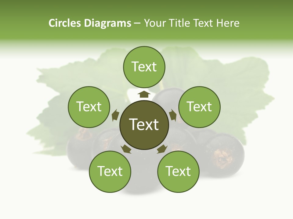 Leaf Ribes Nigrum On White PowerPoint Template