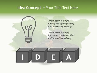 Leaf Ribes Nigrum On White PowerPoint Template
