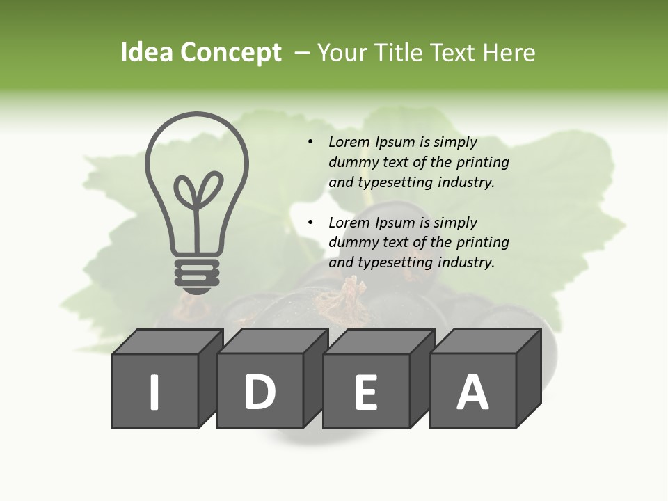 Leaf Ribes Nigrum On White PowerPoint Template