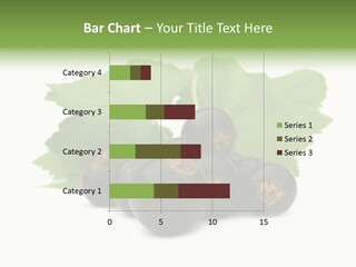 Leaf Ribes Nigrum On White PowerPoint Template