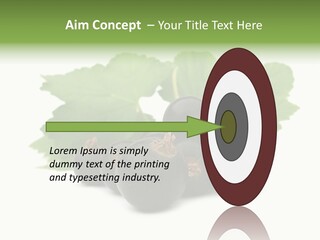 Leaf Ribes Nigrum On White PowerPoint Template