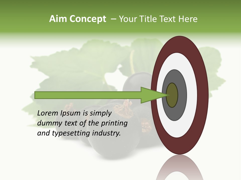 Leaf Ribes Nigrum On White PowerPoint Template