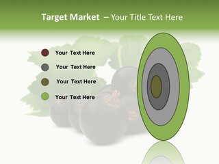 Leaf Ribes Nigrum On White PowerPoint Template