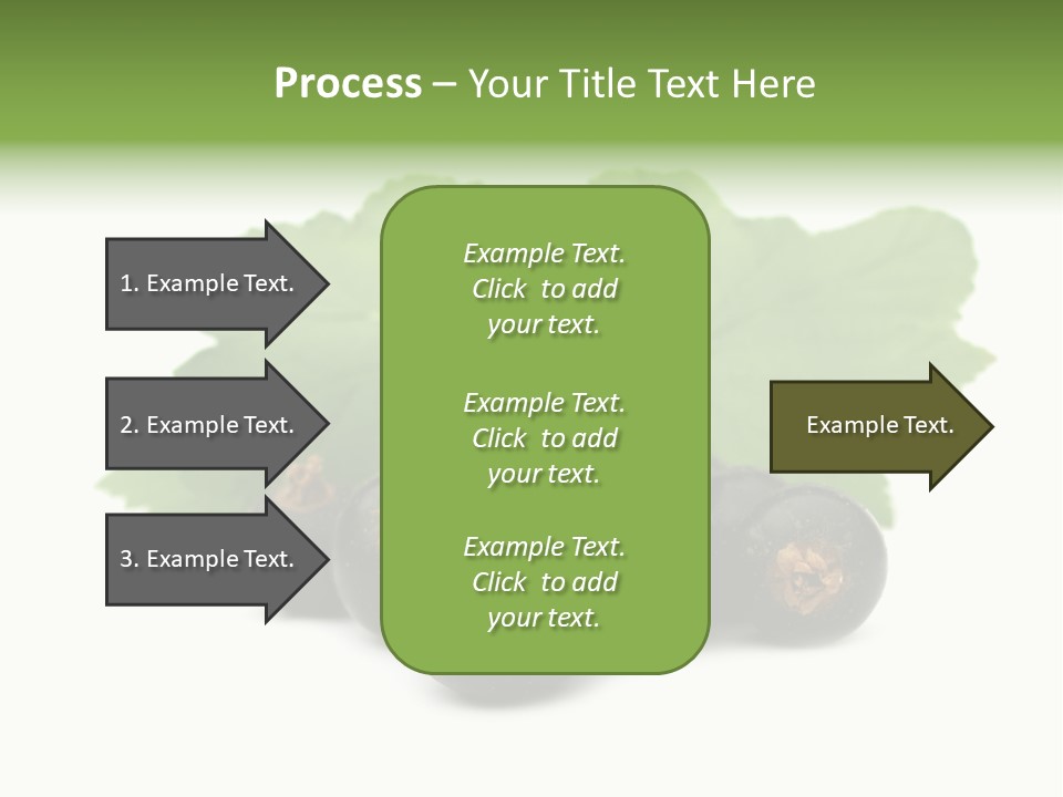 Leaf Ribes Nigrum On White PowerPoint Template