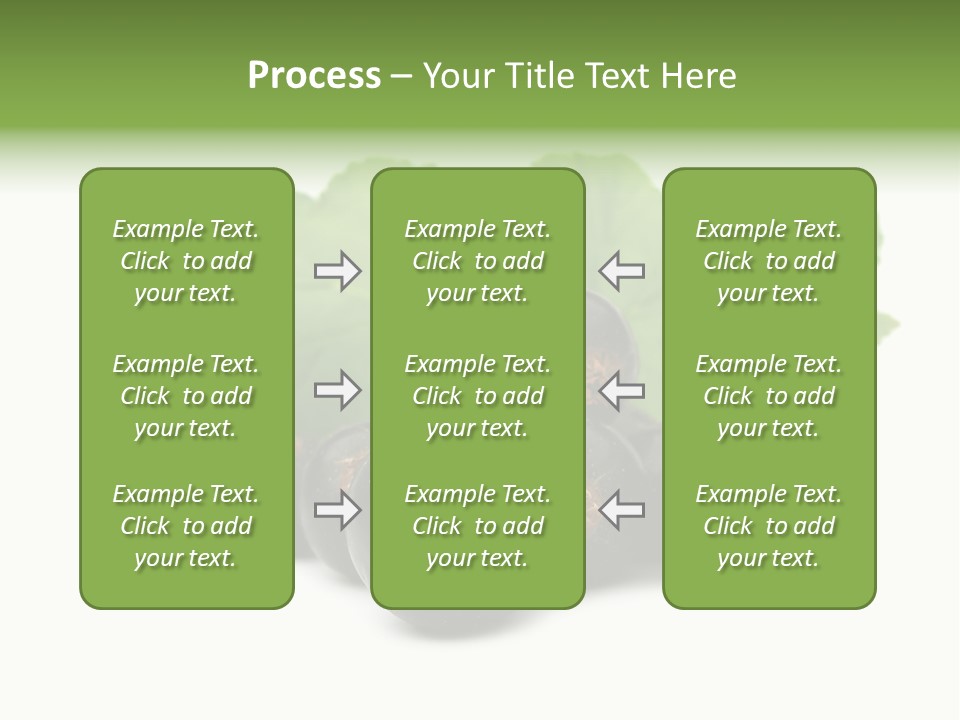 Leaf Ribes Nigrum On White PowerPoint Template